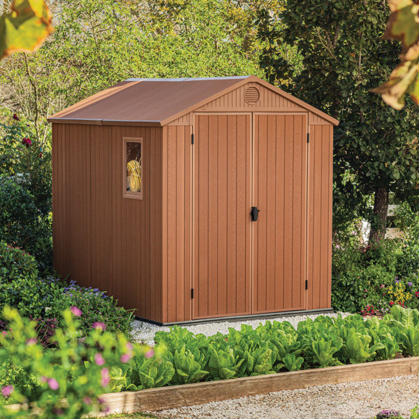 Keter Darwin 6 ft. W x 8 ft. D Apex Outdoor Garden Shed Wayfair.ie